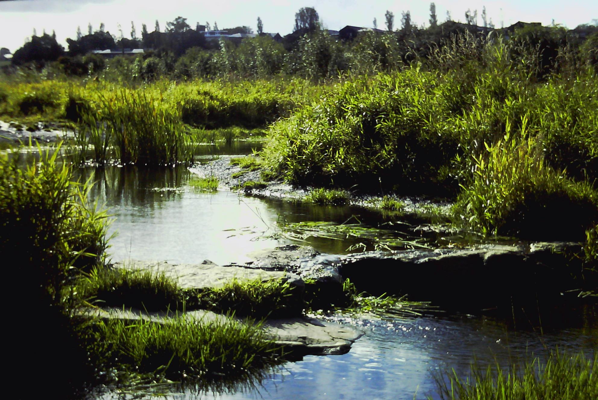 Greenslate_Water_Meadows